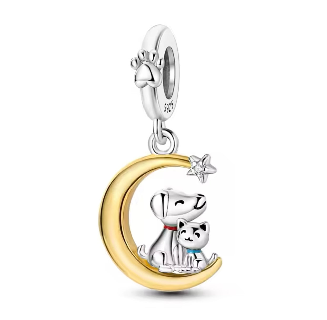 Cats and Dogs Forever Charm